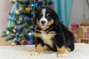 ����� ��������� � ������� - ����������� 1