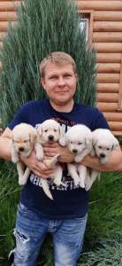 ����� ��������� ��� �������� - ����������� 1