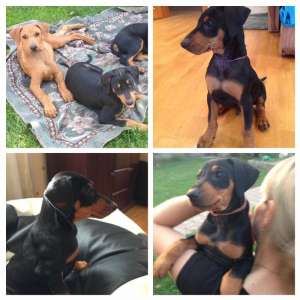 ����� ��������� ������� - ����������� 1