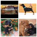 ����� ��������� ������� - ����������� 2