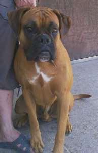 ����� ��������� ������� - ����������� 1