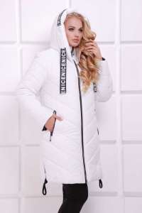 ����� ��������� ������� ������� ������ ������� �������� - ����������� 1