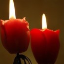 ������� � ����������: ����� ���������, �������� ��� �������������� ���������,