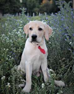 ����� ��������� ��������� - ����������� 1