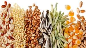 ����� ���������: ��������� �������, ������������ ���������, ��������� ������������, ����������, ���. - ����������� 1