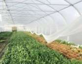 ������� � ����������: ����� ��������� ��������� �������� �������