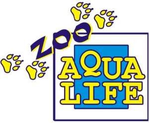 �����, ��������� �������������� ���� - ����������� 1