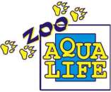 ������� � ����������: �����, ��������� �������������� ����