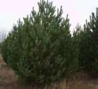 ������� � ����������: ����� ����������!