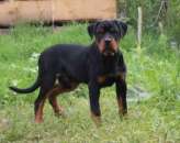 ����� ���������� � ����������� ��� - ����������� 3