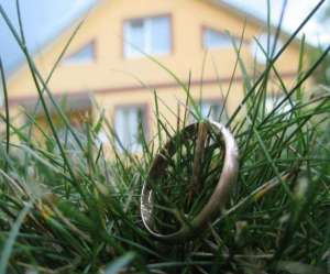 ����� ���������� �����. ���� - ����������� 1