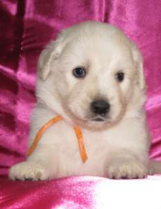 ����� ���������� ������ - ����������� 1