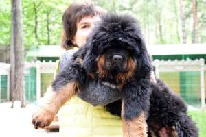 ����� ���������� ������� - ����������� 1