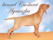 ����� ���������� ������� ����� - ����������� 1