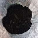 ����� ���������� ��������������. - ����������� 1