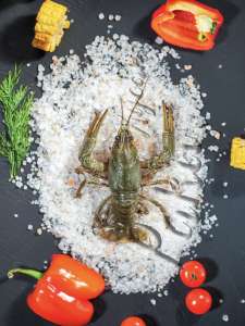 ����� �������(����) � ��������� �� ��� - ����������� 1