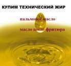 ����� ����������� ���, �������� ����