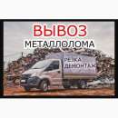 ������� � ����������: ����� ����������� ����, �������� ���������