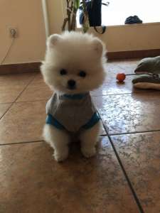 ����� ����������� ����� - ����������� 1