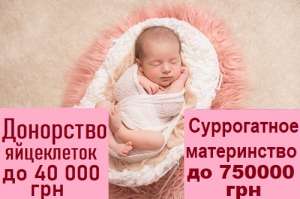 ����� ����������� ����� ��������� (���������������.) ����� ������������ ����������� "SurMmamka�. - ����������� 1