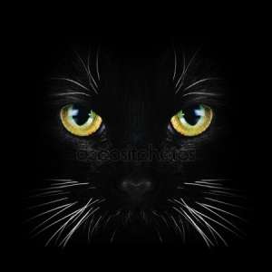 ����� . ����������� . ������ ����� - ����������� 1