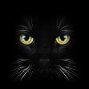 ������� � ����������: ����� . ����������� . ������ �����