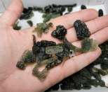 ����� ����������� ������ �������� (�������) - ����������� 1