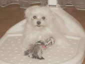 ����� ����������� �������. - ����������� 2