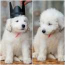 ����� ����������� ������� - ����������� 2