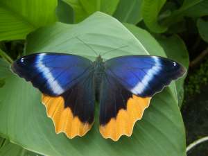 ����� ����������� ������� � ���������� - ����������� 1