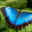 ������� � ����������: ����� ����������� ������� ����� � �����, ������� ����� �������