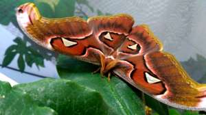 ����� ����������� ������� ����� � �����, ������� ����� ������� - ����������� 1