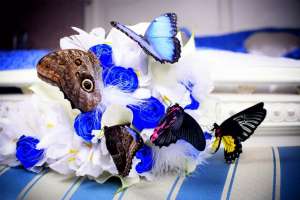 ����� ����������� ������� ����� � �����, ������� ����� ������� - ����������� 1