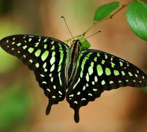 ����� ����������� ������� ����� � �����, ������� ����� ������� - ����������� 1