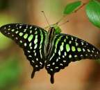 ������� � ����������: ����� ����������� ������� ����� � �����, ������� ����� �������