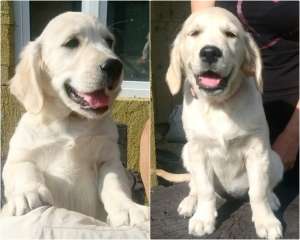 ����� ����������� ��������� - ����������� 1