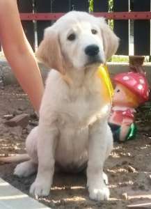 ����� ����������� ��������� - ����������� 1