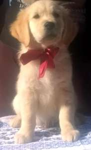 ����� ����������� ��������� - ����������� 1