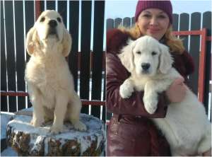 ����� ����������� ��������� - ����������� 1