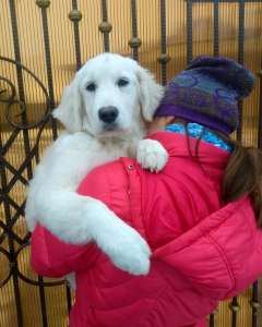 ����� ����������� ��������� - ����������� 1