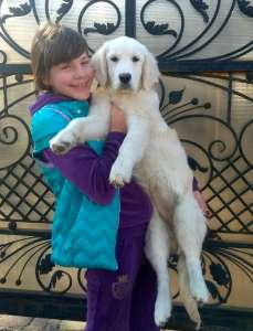 ����� ����������� ��������� - ����������� 1