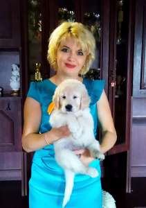 ����� ����������� ��������� - ����������� 1