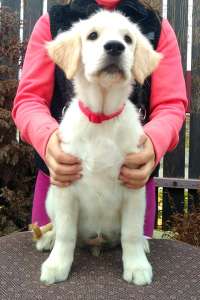 ����� ����������� ��������� - ����������� 1