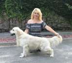 ����� ����������� ��������� - ����������� 2