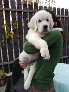 ����� ����������� ��������� - ����������� 1