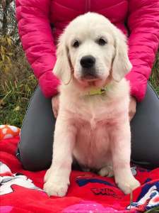 ����� ����������� ��������� - ����������� 1