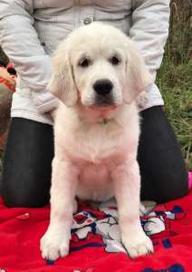 ����� ����������� ��������� - ����������� 1