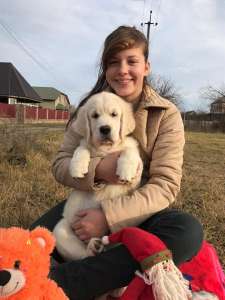 ����� ����������� ��������� - ����������� 1