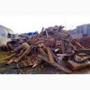 ����� �����������. ��������� ��� ������ � ������� ��������