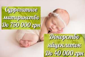 ����� ����������� ����������� "SurMmamka�. �����-���������. ����� ������� ��������� - ����������� 1